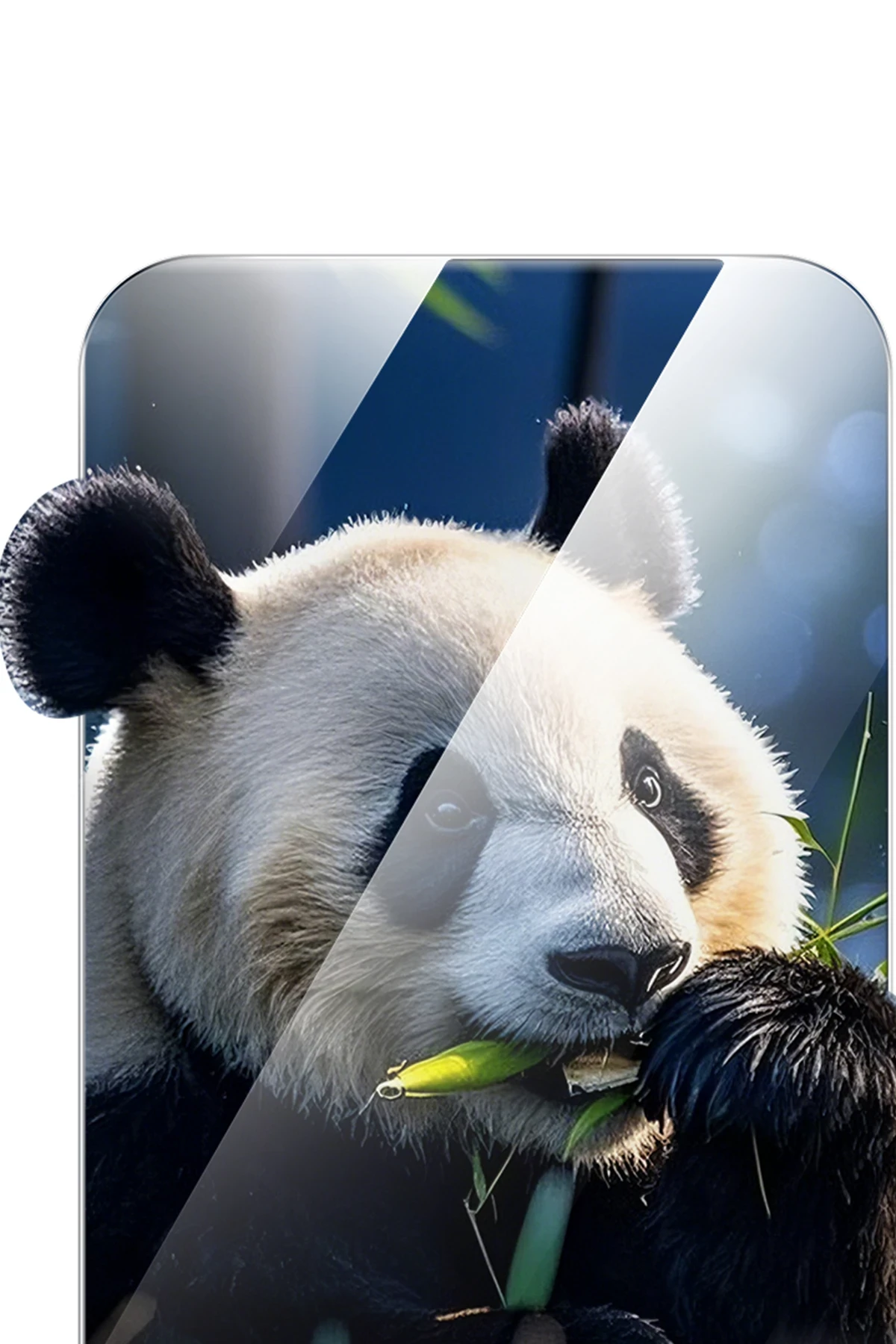 Keephone Apple iPhone 17 Pro Max Innova HD Cam Ekran Koruyucu