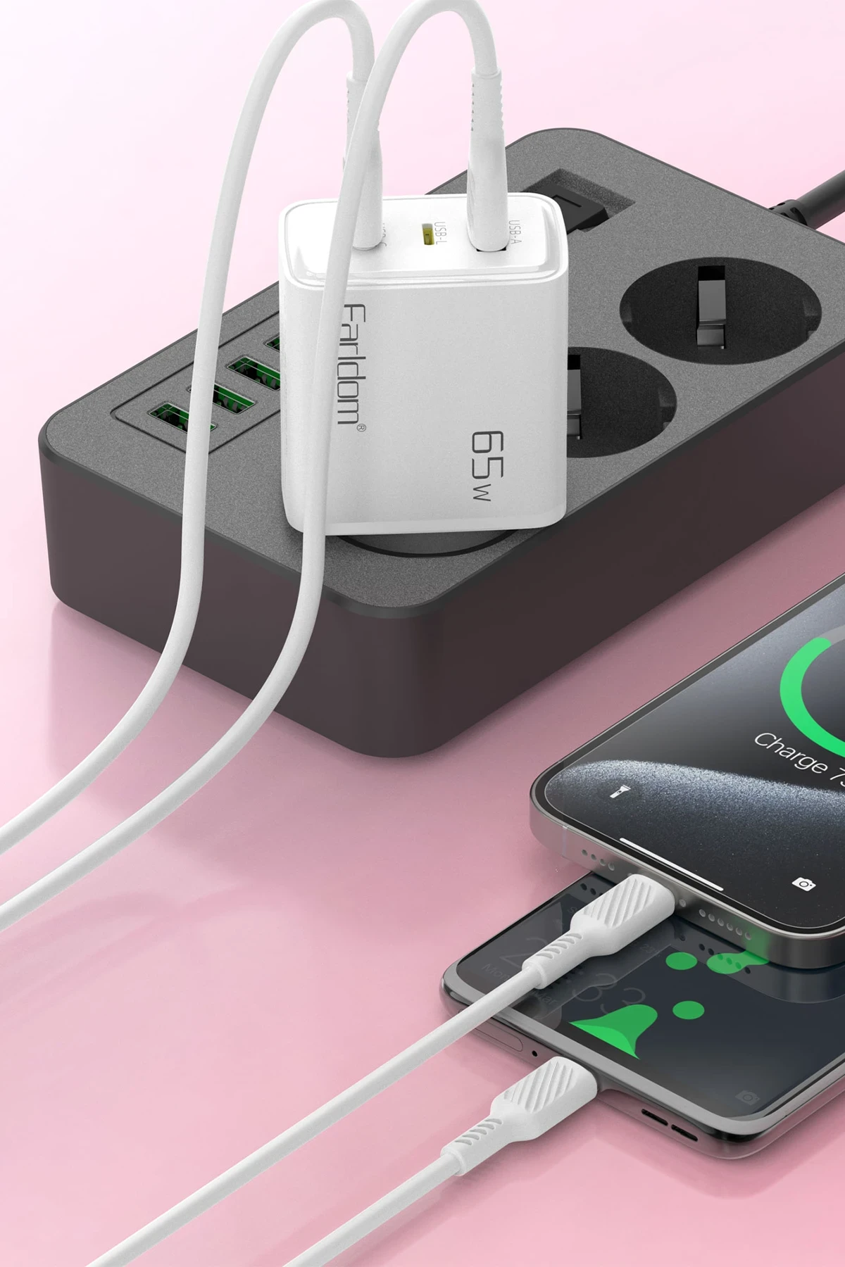 Earldom EU53 Type-C Lightning ve USB Çıkışlı 65W PD Hızlı Şarj Aleti