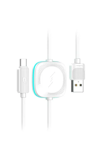 Earldom WC39 1.2M 15W Usb to Type-C ve 2.5W Kablosuz Saat Şarj Çıkışlı 2in1 Hızlı Şarj Kablosu